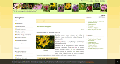 Desktop Screenshot of apiflora.pl