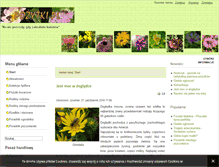 Tablet Screenshot of apiflora.pl